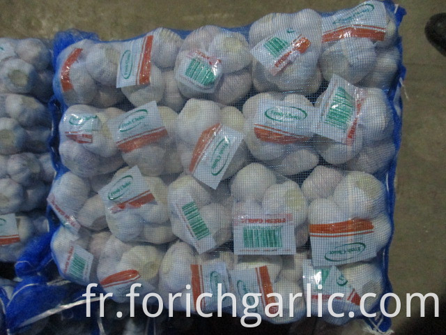 Fresh 2019 Normal White Garlic Size 5 0